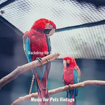 Backdrop for Pet Birds - Guitar by 