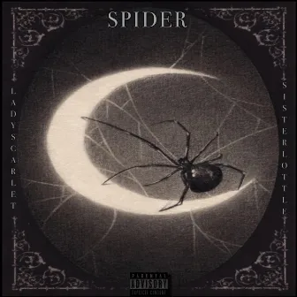 Spider by Lady Scarlet