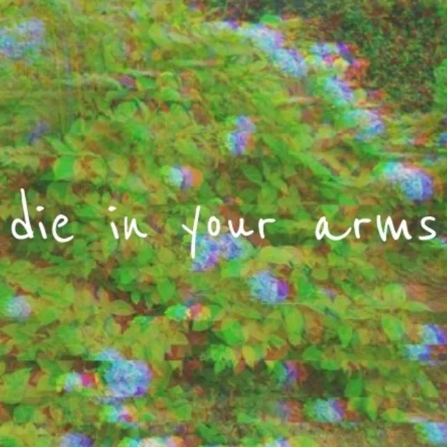 Die in Your Arms