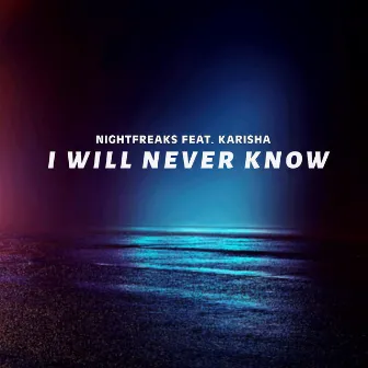 I Will Never Know by Karisha