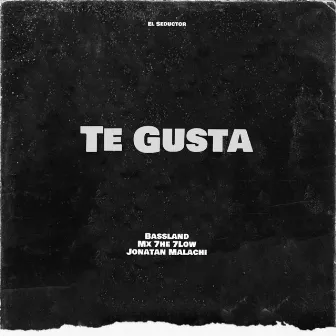 Te Gusta by Jonatan Malachi