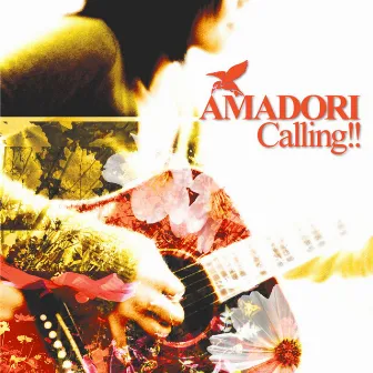 CALLING!! by Amadori