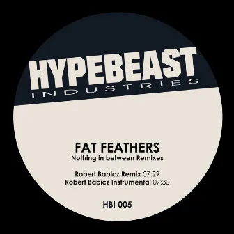 Nothing in Between (Robert Babicz Remixes) by Fat Feathers