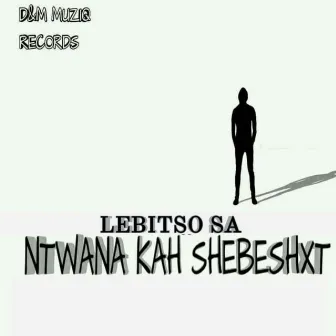 Ntwana Kah Shebeshxt by D_and_M_Muziq Records