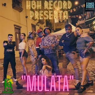 Mulata by Foregang