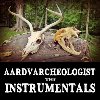 The Instrumentals by Aardvarcheologist