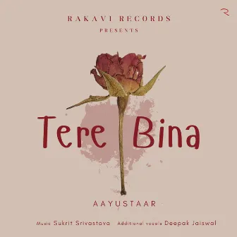 Tere Bina by Sukrit Srivastava