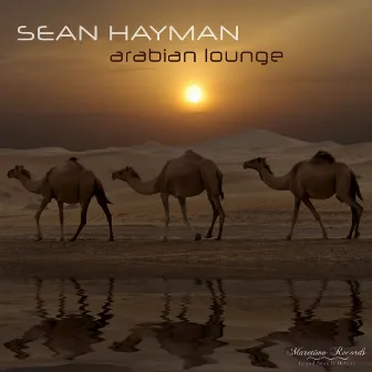 Arabian Lounge (Stretch Your Mind Cut) by Sean Hayman