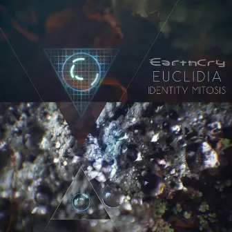 Euclidia by Earthcry