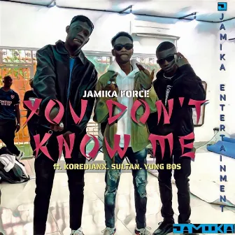 You Don't Know Me by Jamika Force