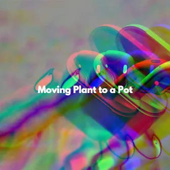 Moving Plant to a Pot by Jazz Morning