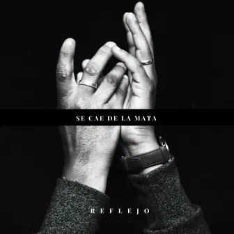 Se Cae de la Mata by Reflejo Music