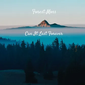 Can It Last Forever by Forest Moss