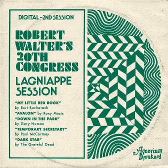 Aquarium Drunkard's Lagniappe Sessions by Robert Walter