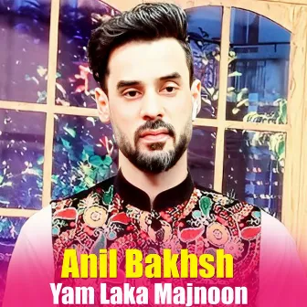 Yam Laka Majnoon by Anil Bakhsh