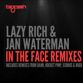 In The Face Remixes by Jan Waterman