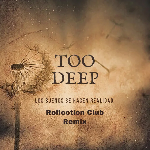 Los sueños se hacen realidad (Reflection Club Remix)