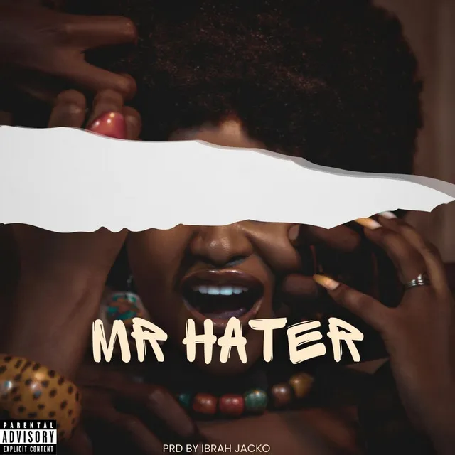 Mr Hater