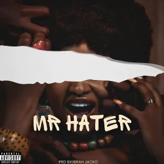 Mr Hater by Appy