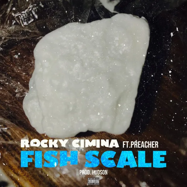 Fish Scale