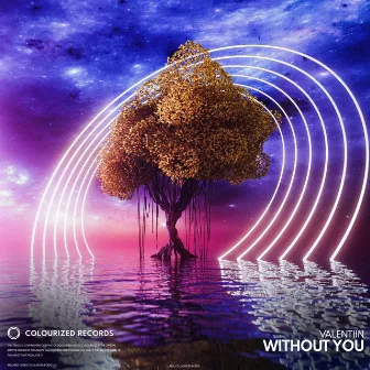 Without you by Valentiin