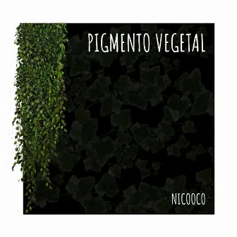 Pigmento vegetal by Nicooco