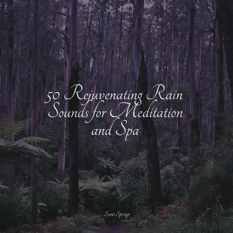 50 Rejuvenating Rain Sounds for Meditation and Spa by Relaxing Music