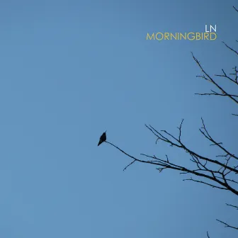 Morningbird by LN