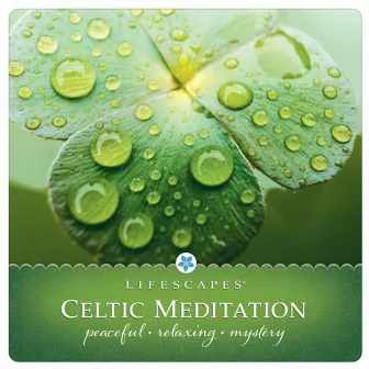 Celtic Meditation by Dirk Freymuth