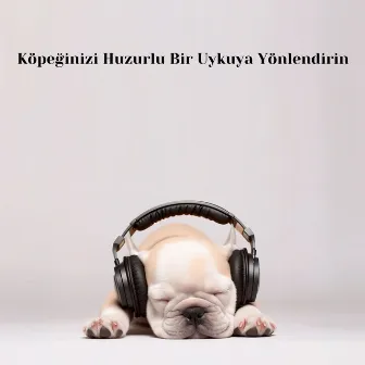 Köpeğinizi Huzurlu Bir Uykuya Yönlendirin: Huzurlu Bir Köpek İçin Yatma Zamanı Melodileri by Rahatla Müzik