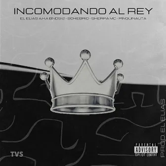 Incomodando al Rey by THE VLOON STUDIO