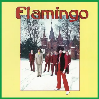 Flamingo by Flamingo