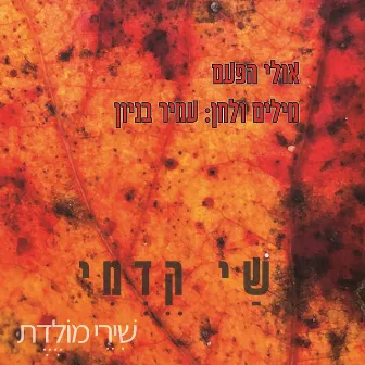 אולי הפעם by Shy Kedmi