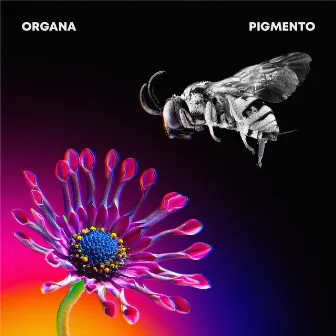 Pigmento by Organa