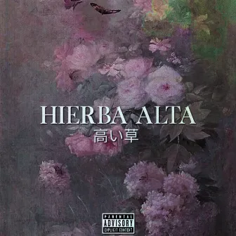 Hierba Alta by MFKN K4