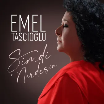 Şimdi Nerdesin by Emel Taşçıoğlu