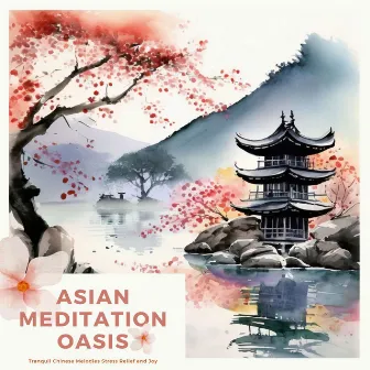 Asian Meditation Oasis - Tranquil Chinese Melodies Stress Relief and Joy by Asian Asia