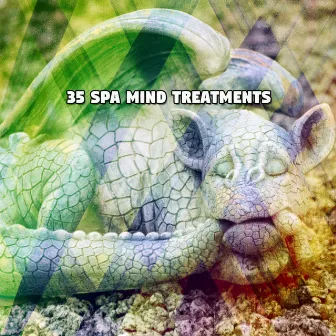 35 Spa Mind Treatments by Unknown Artist