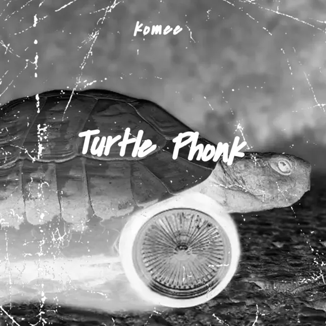 Turtle Phonk