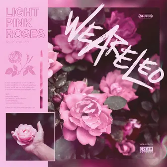 Light Pink Roses by We Are Leo