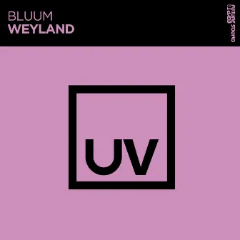 Weyland by Bluum