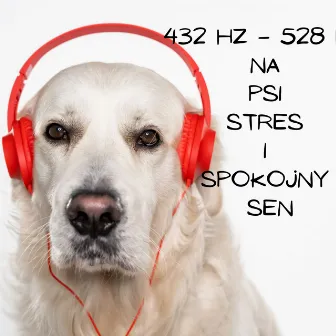 432 Hz – 528 Hz Na psi stres i spokojny sen (Terapia dla czworonożnych przyjaciół) by Muzyka dla psów