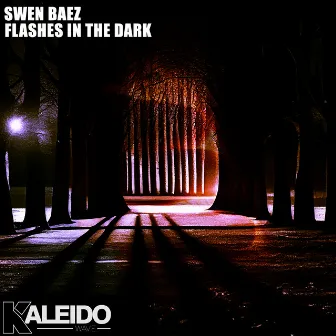 Flashes in the Dark (Radio Edit) by Swen Baez