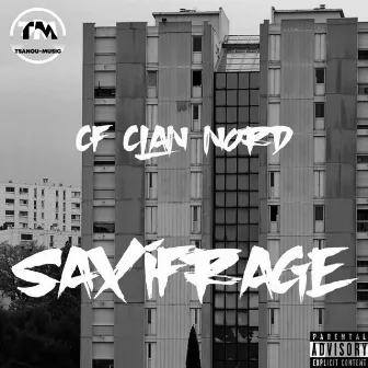 Saxifrage by Cf Clan Nord