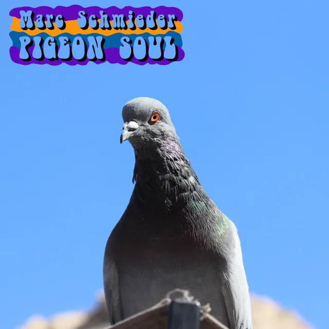 Pigeon Soul