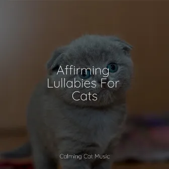 Affirming Lullabies For Cats by Music for Relaxing Cats