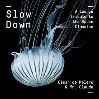 Slow Down by Mr Claude