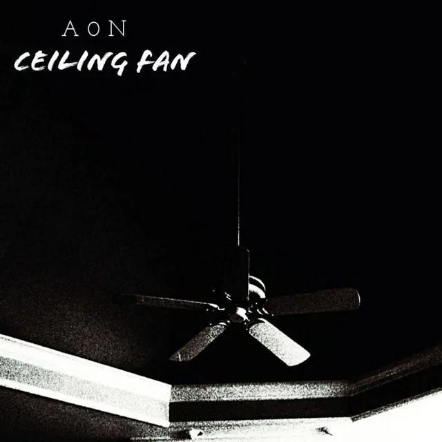 Ceiling Fan