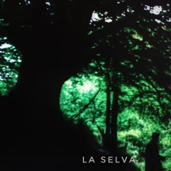 La Selva (feat. De*mononinos) by Esteban Porronett