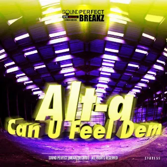 Can U Feel Dem by Alta